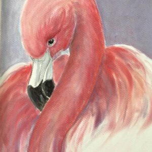 Flamingo Korsou Art