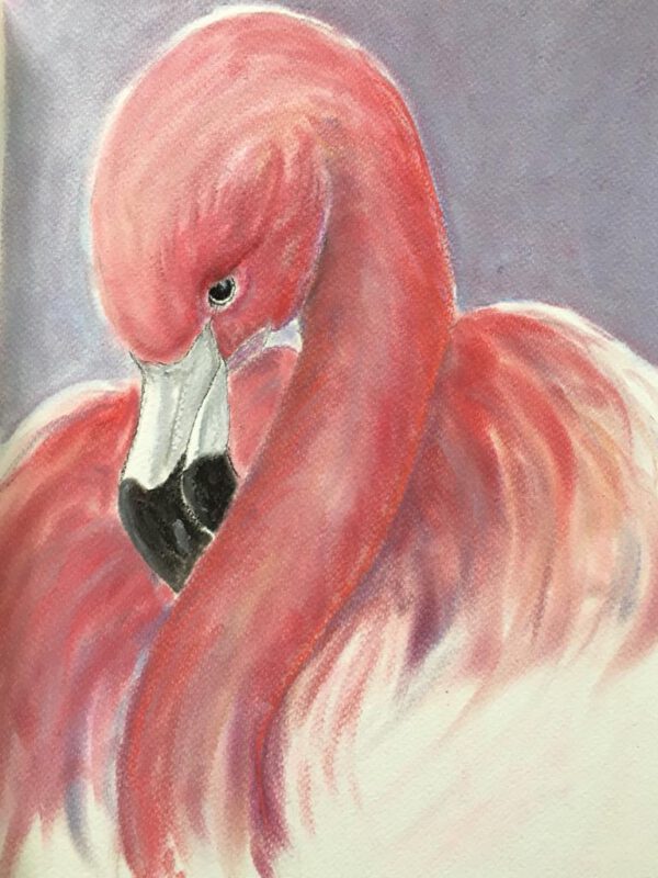 Flamingo Korsou Art